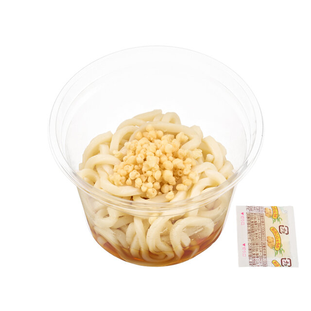 ミニ冷したぬきうどん